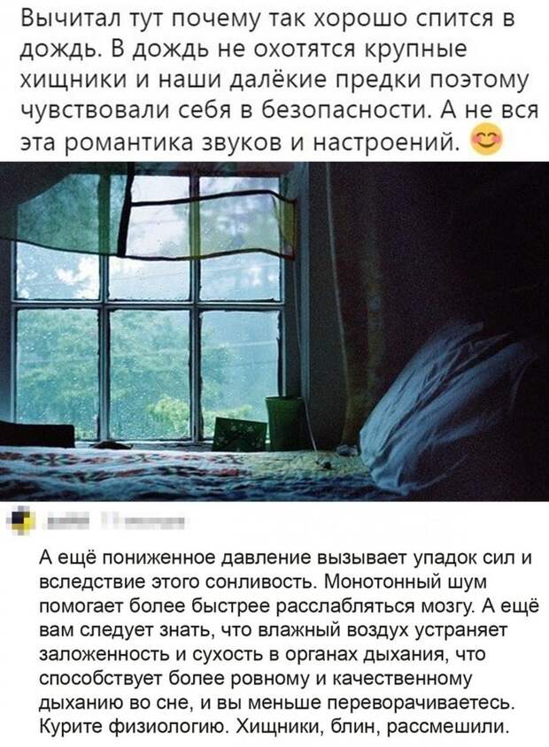 Хищники, блин... Хищники, блин...