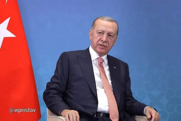 Не дождался приглашения в ЕС: Эрдоган заявил о возможном вступлении Турции в ШОС