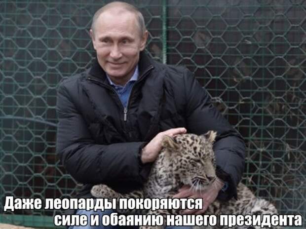 Смешные картинки с надписями прикол, юмор