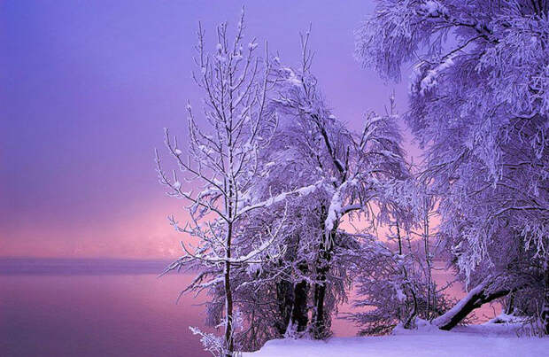 Восхитительные зимние пейзажи