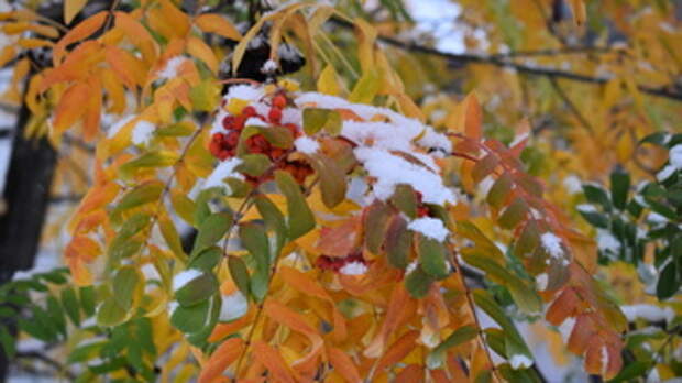 Снег / Фото: amic.ru