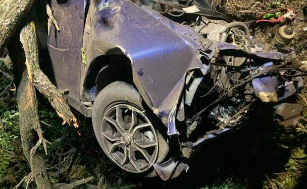 В Новокубанском районе машина на полном ходу врезалась в дерево, двое погибли