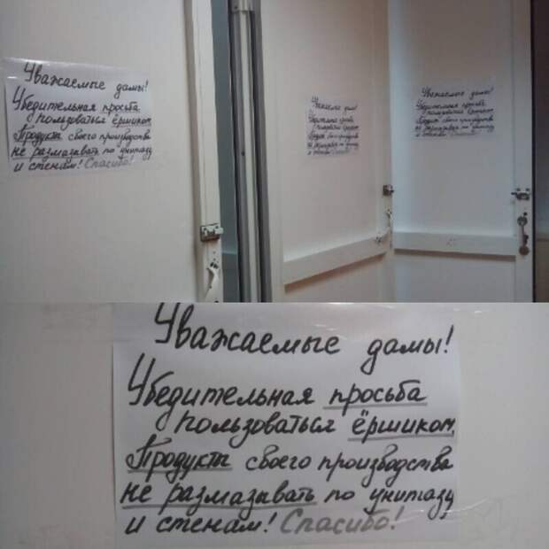 Видимо, дамы совсем свинюшки Видимо, дамы совсем свинюшки