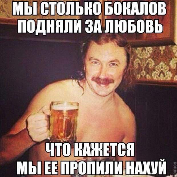 0ZCViBwu804