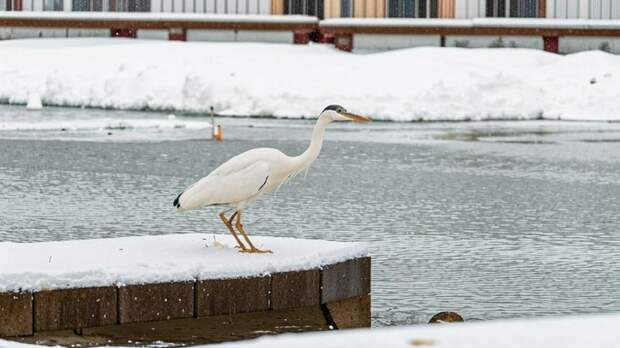 До -10. О погоде в Барнауле 2 января