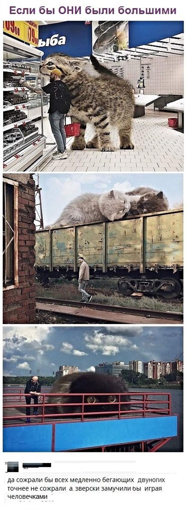 Картинки с надписями, истории и анекдоты