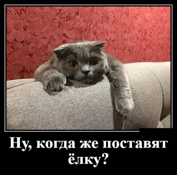 Демотиваторы (30 фото)