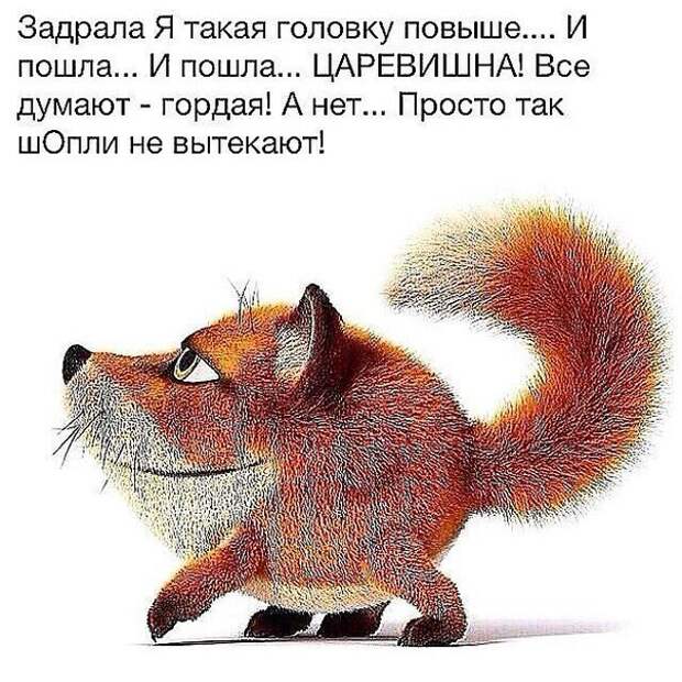 5-5xo7h3ZyY