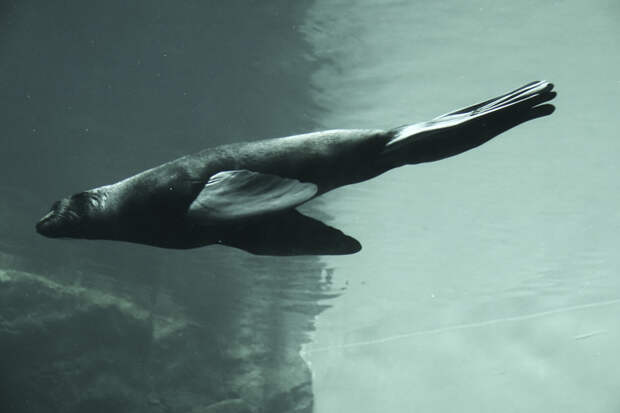 Seattle Washington Part 1-7.jpg