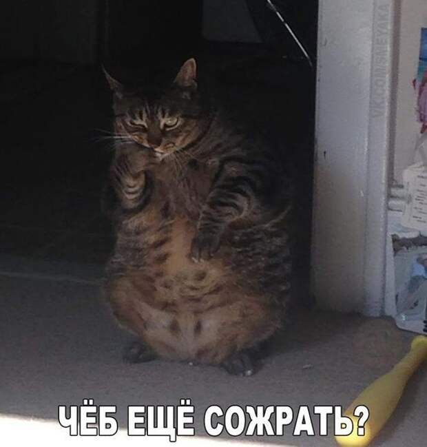 777