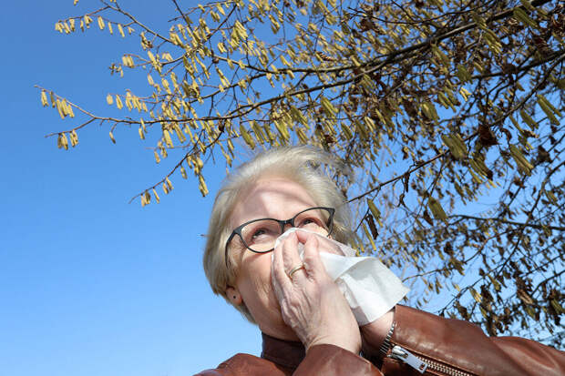 Врач Усачёва: пыльца березы спровоцировать неожиданную аллергию на продукты