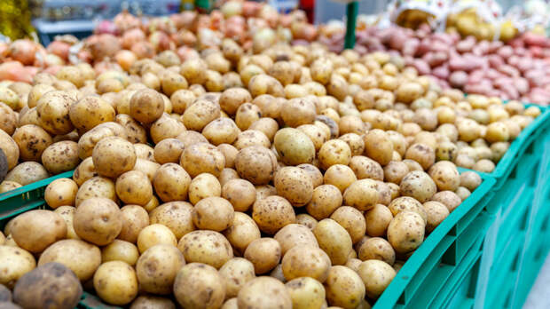 Цены на картофель в России перестали расти
