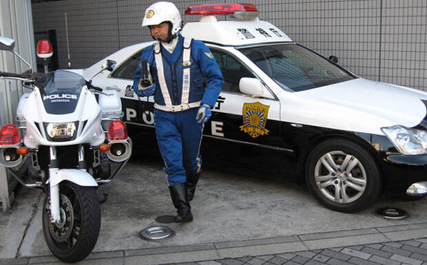 Национальная полиция Японии