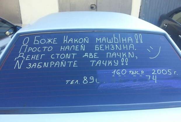 Прикольные картинки