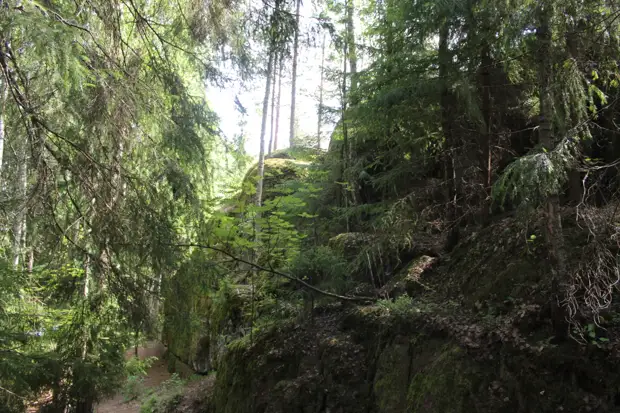 "Тянутся сосны в прозрачное небо, глыбы гранита заснули давно..." Парк Монрепо в Выборге