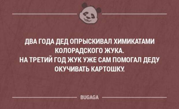 Забавные мысли и высказывания. Часть 34 (20 шт)