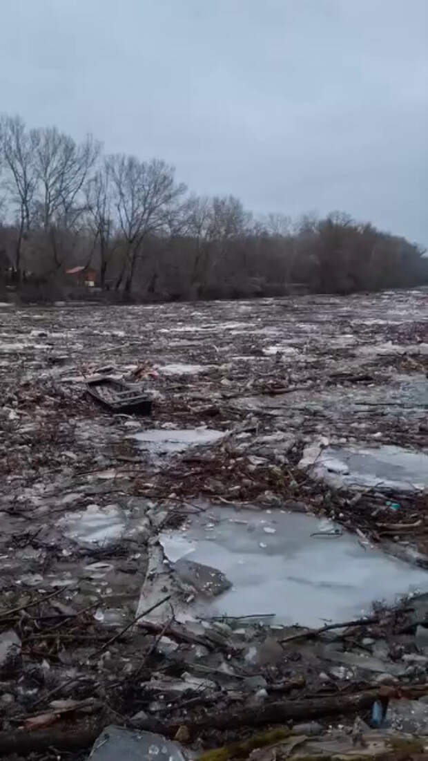 Горы мусора поплыли из Украины в Европу и попали на видео