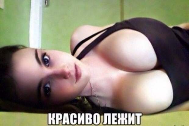 Смешная галерея фотоприколов # 97