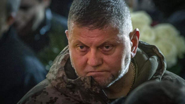 Главнокомандующий Вооруженными силами Украины Валерий Залужный Главнокомандующий Вооруженными силами Украины Валерий Залужный - РИА Новости, 1920, 01.02.2024