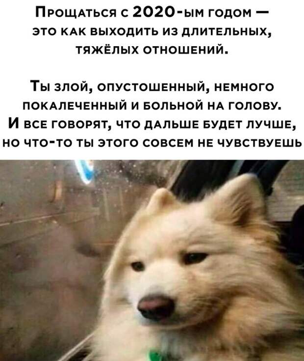 Смешные картинки 31 декабря 2020