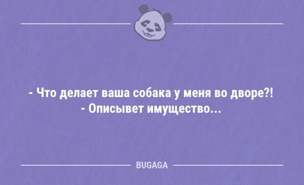 Смешные анекдоты в конце недели (12 фото)