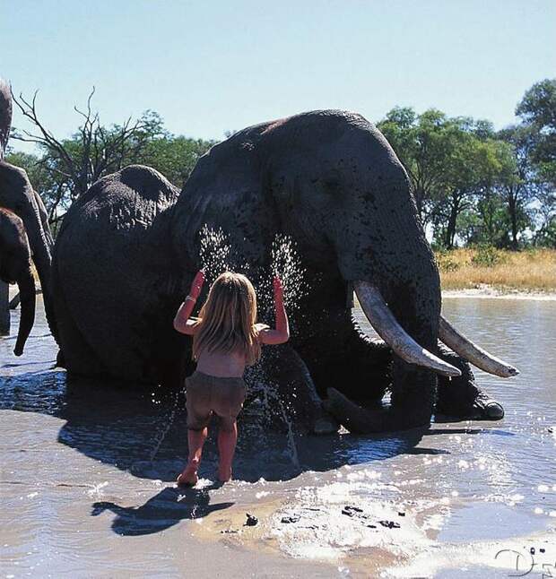 Tippi11 Tippi11 Современная Маугли