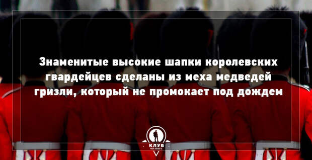 9 удивительных фактов о Великобритании