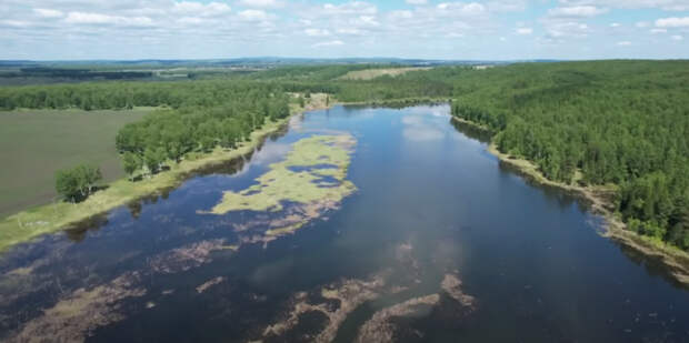 В Красноярском крае местный житель спасает пруд