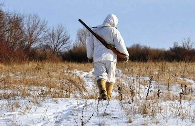 Сегодня в Астраханской области завершается сезон охоты на пушных зверей