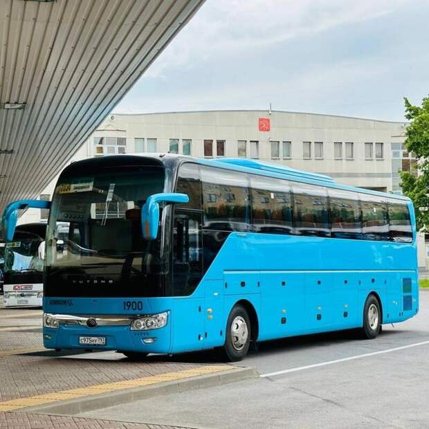 Из Санкт-Петербурга запустят автобусы в Краснодар, Геленджик и Симферополь
