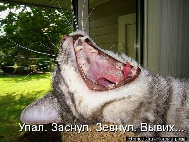 3802001_1_24 (650x488, 75Kb)