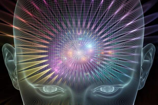 brain_54678390