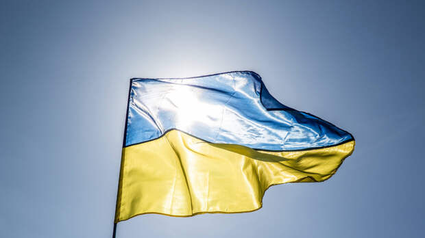 Мендель заявила, что на Украине стало непатриотично признавать реальную ситуацию