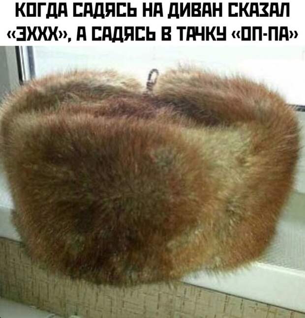 Смешные картинки 14 декабря 2021 года