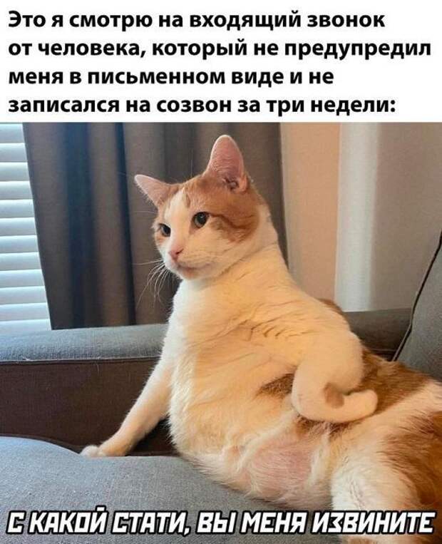 Новые мемы сегодняшнего дня