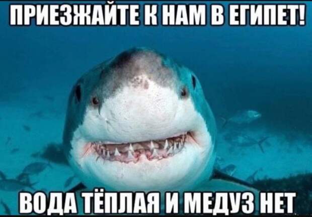 приколы картинки с надписями смешные (11)