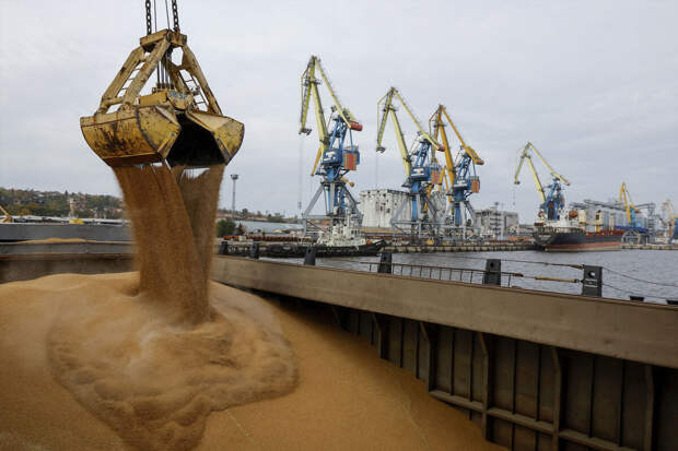 Торгпред РФ в Марокко сообщил о значительном росте закупок российского зерна
