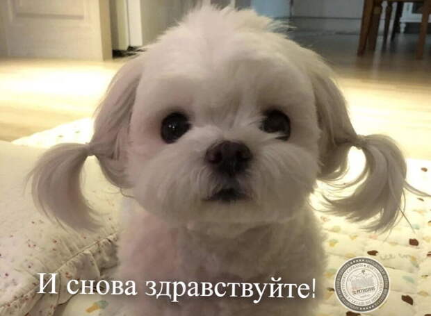 И снова здравствуйте