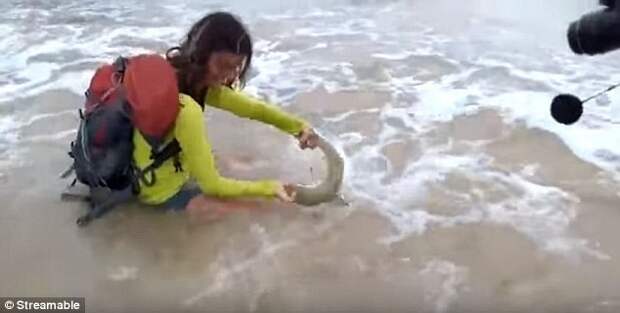 35-летняя женщина, имя которой остается неизвестным, выловила рыбу ради селфи акула, селфи, туристка