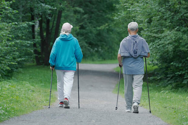 HuffPost: прогулки с 11:00 до 15:00 восстанавливают циркадные ритмы