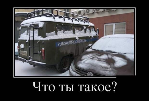 Веселые демотиваторы для позитива (11 фото)