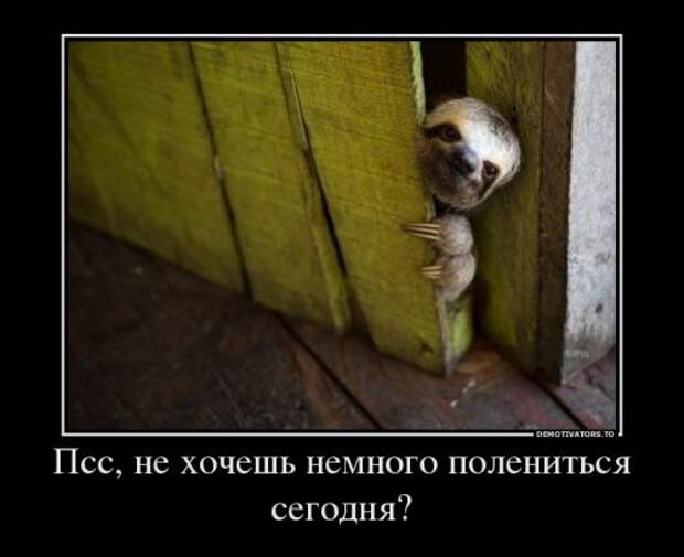 Новые демотиваторы-приколы (17 шт)