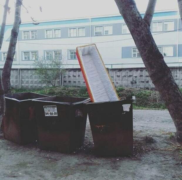 Подборка фотоприколов
