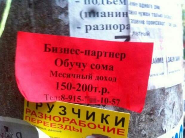 Грамматические ошибки в вывесках, объявлениях и различных надписях