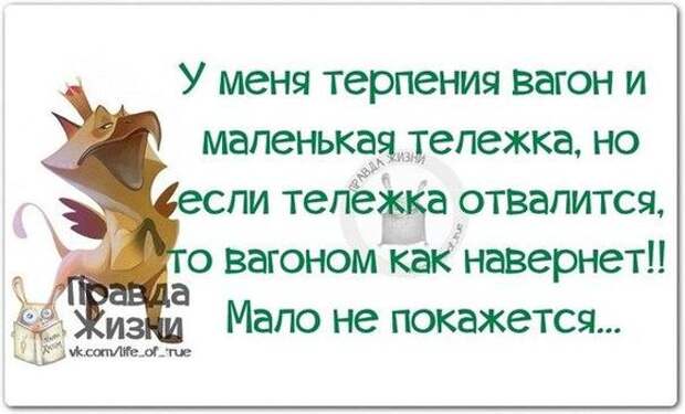 https://pp.vk.me/c7008/v7008334/16cbe/h3FEkPjAQ7A.jpg: 