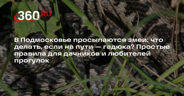Жителей Подмосковья предупредили о скором пробуждении змей