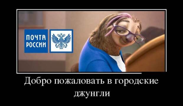 Демотиваторы №1502 (30 фото)