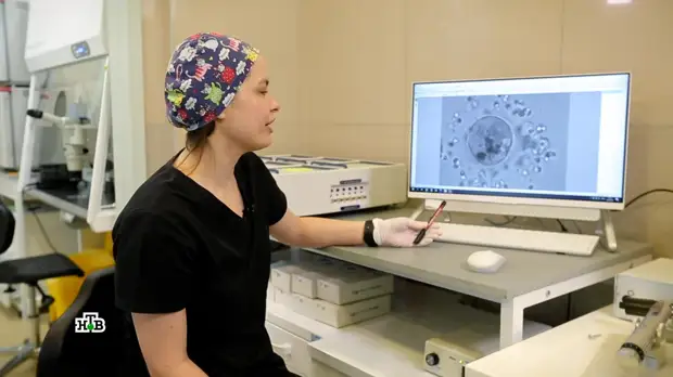 Заморозка половых клеток: что нужно знать об отложенном рождении детей