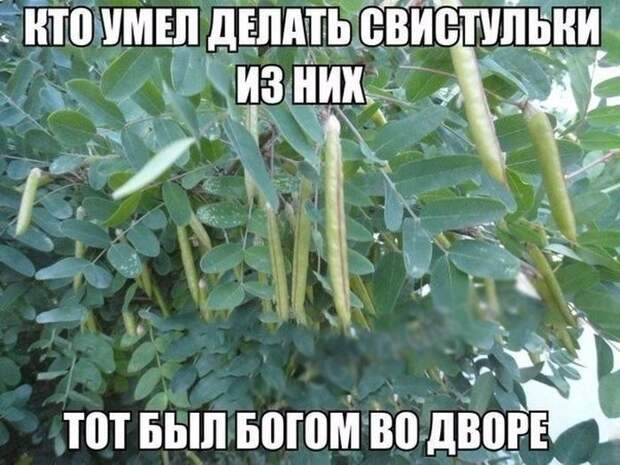 Ну как же ностальгия замучила СССР, история, факты