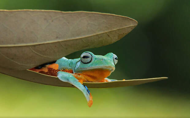 Кажется я уже выгорела на солнце.
